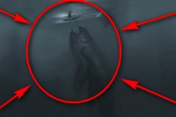 Kraken что это за сайт